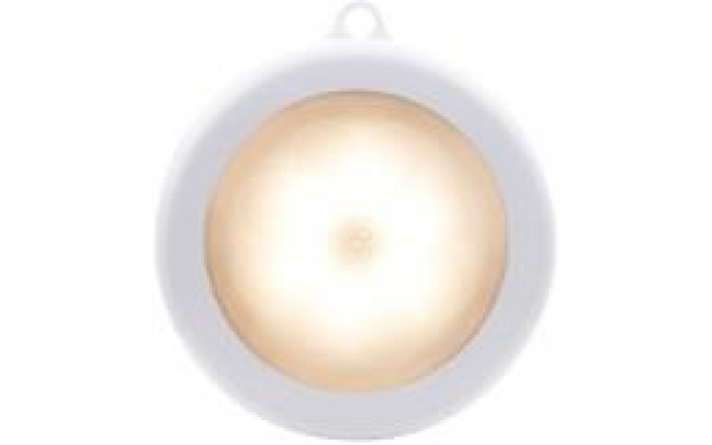 Induction LED Light LT-TGY100