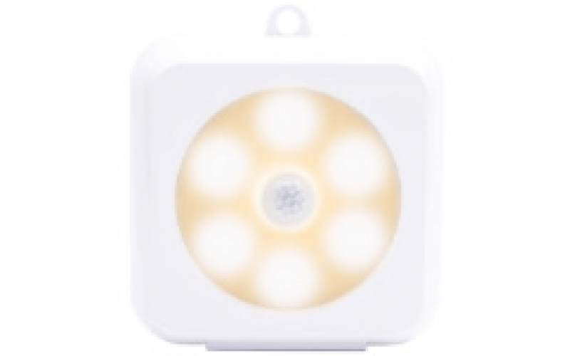 Induction LED Light LT-TGY100